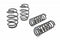 Eibach PRO-KIT Springs 15+ Dodge Charger Hellcat 6.2L SC